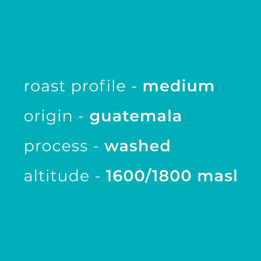 Coffee profile, origin, altitude and process information for the Summit Seeker Medium Roast by ADVNTR Coffee Co.