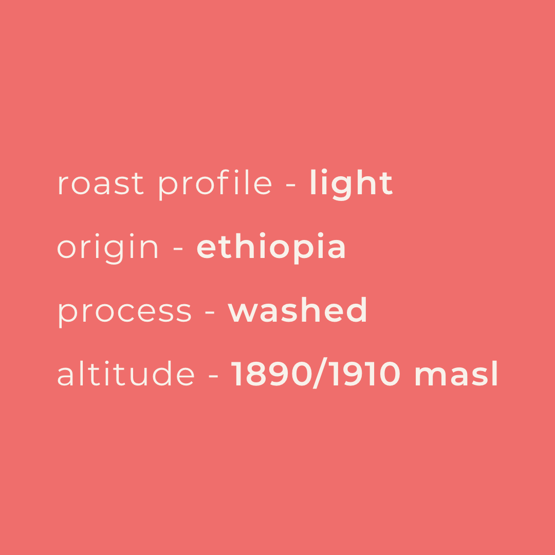 Coffee profile, origin, altitude and process information for the Verdant Peak Medium Roast by ADVNTR Coffee Co.